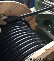 定制卷筒电缆生产